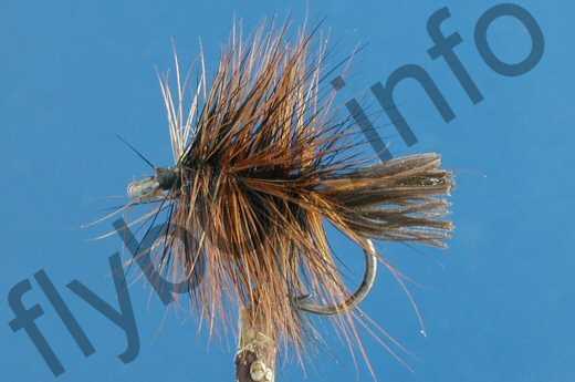 Fish4Flies Troutbeck Beatle